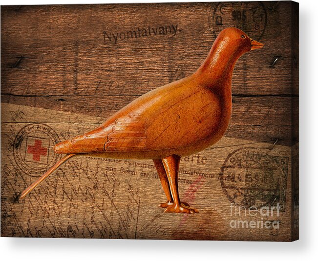 Mail Acrylic Print featuring the painting Wood Postal Pigeon by Vincent Monozlay