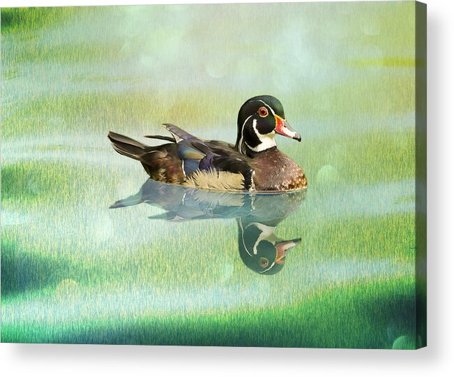 Duck Acrylic Print featuring the photograph Woody Green Striations by Bill and Linda Tiepelman