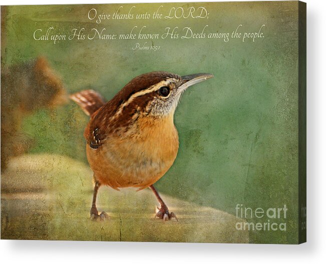 Nature Acrylic Print featuring the photograph Wren with verse by Debbie Portwood