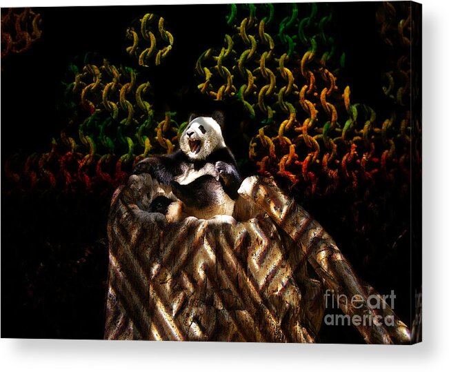 Yawning Acrylic Print featuring the photograph Yawning Panda by Mariola Bitner