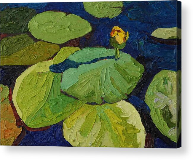 Floral Acrylic Print featuring the painting Yellow Waterlily by Phil Chadwick