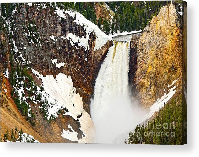 Yellowstone Falls Acrylic Print featuring the photograph Yellowstone Falls from Lookout Point. by Jamie Pham