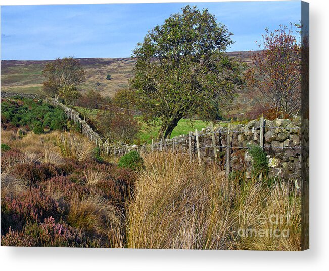 Yorkshire Acrylic Print featuring the photograph Yorkshire Moors England by Martyn Arnold