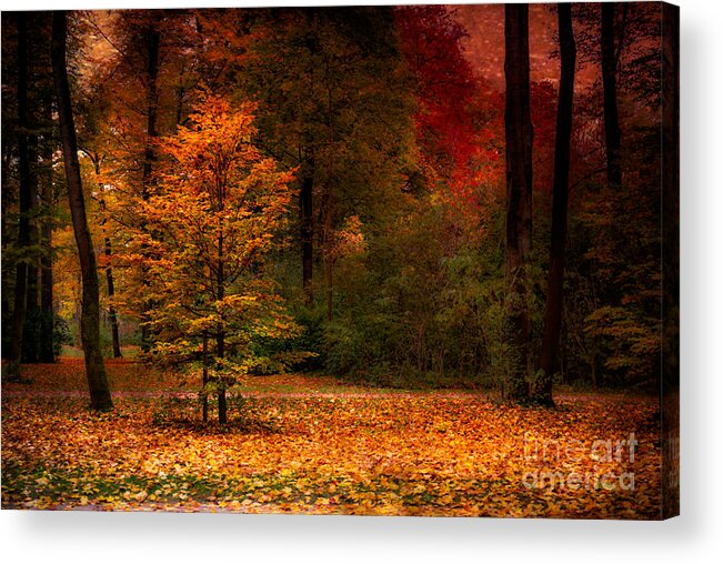 Autumn Acrylic Print featuring the photograph Youth by Hannes Cmarits