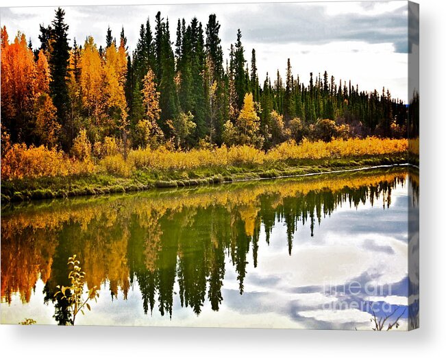 Trees Acrylic Print featuring the photograph Yukon Autumn by Linda Bianic