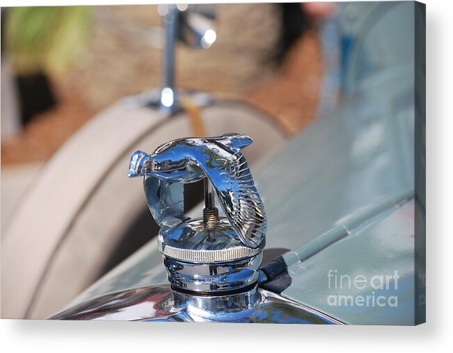 1930 Acrylic Print featuring the photograph 1930 Ford Coupe Hood Ornament by Heather Kirk