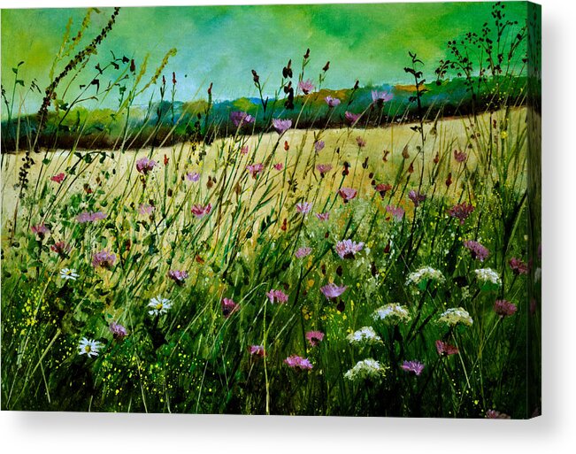 Flowers Acrylic Print featuring the painting Cornflowers #1 by Pol Ledent