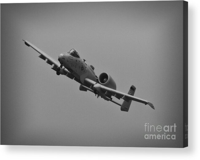 Republic A-10 Thunderbolt Ii Acrylic Print featuring the photograph Gotta Love Ugly #1 by Tommy Anderson