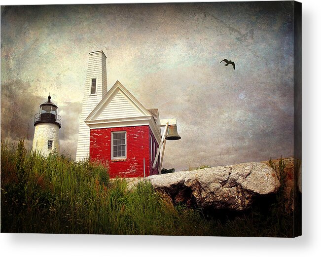  Acrylic Print featuring the photograph Pemaquid Light by Fred LeBlanc