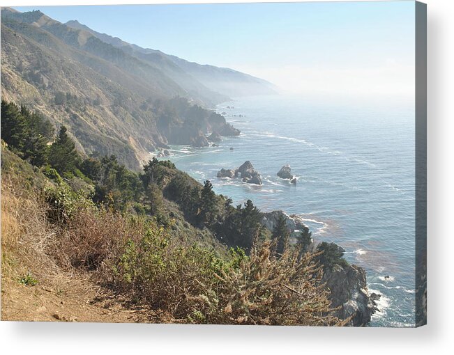 Big Sur Acrylic Print featuring the photograph Hwy 1 #2 by Nimmi Solomon