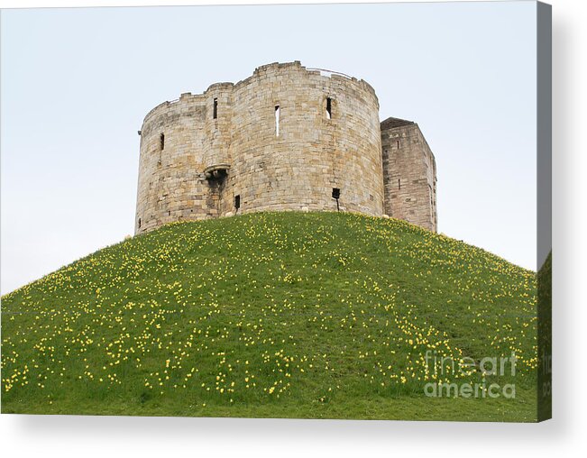 Architecture Acrylic Print featuring the digital art Scenes from the City of York #28 by Carol Ailles