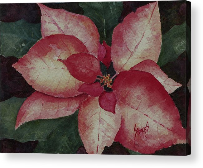 Flower Acrylic Print featuring the painting Poinsettia #3 by Sam Sidders