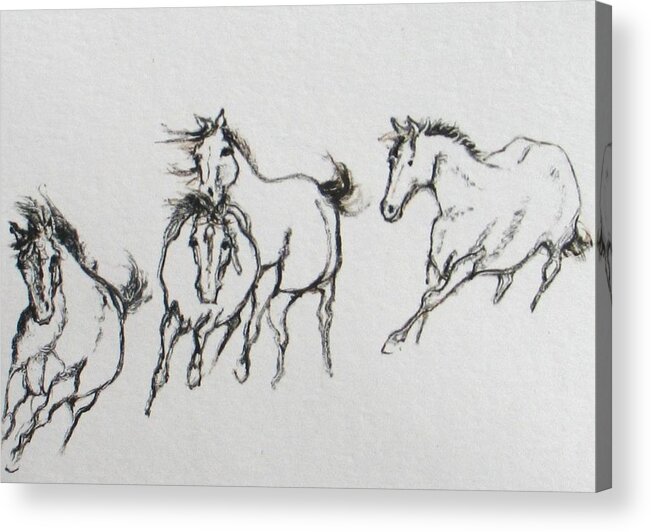 Monoprint Acrylic Print featuring the painting 4 Wild Horses by Elizabeth Parashis