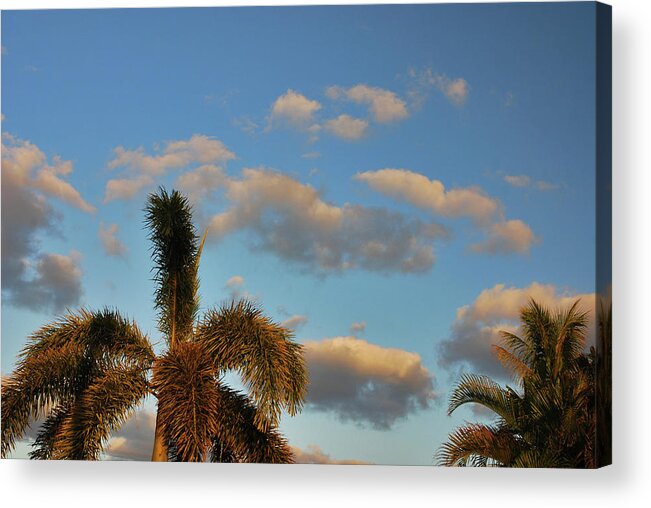 Tropical Acrylic Print featuring the photograph 9- Tropical Sky by Joseph Keane