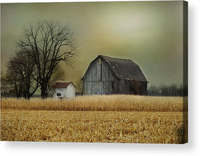Autumn Acrylic Print featuring the photograph A New Dawn by Mary Timman