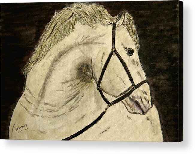 Horse Acrylic Print featuring the painting A Noble Horse. by Shlomo Zangilevitch