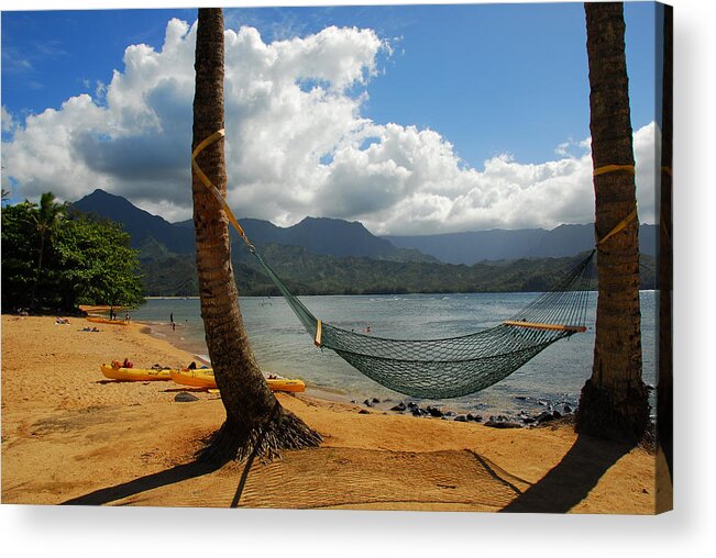 Hawaiian Islands Acrylic Print featuring the photograph A Place to Hang by Lynn Bauer