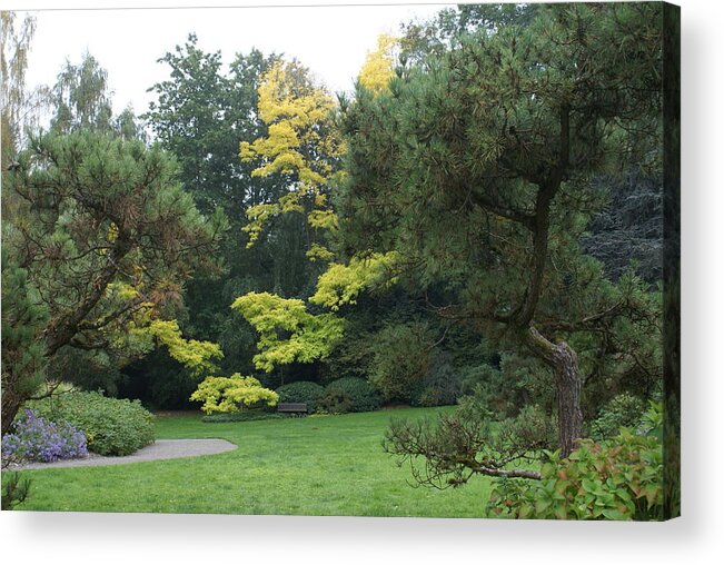 Park Acrylic Print featuring the photograph A Walk in the Park by Jerry Cahill