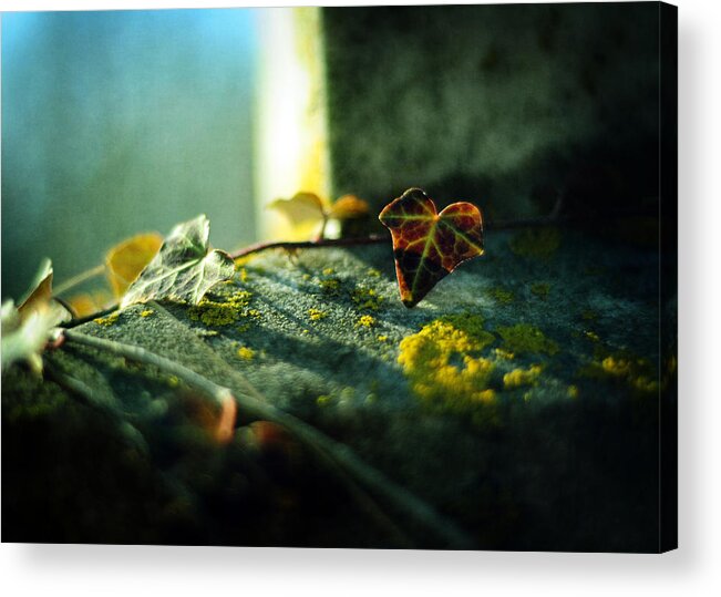 Gravestone Acrylic Print featuring the photograph After Life by Rebecca Sherman