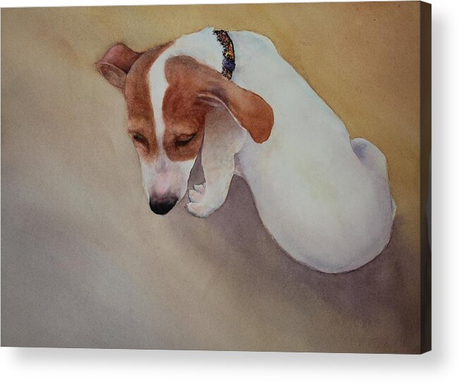 Puppy Acrylic Print featuring the painting All Played Out by Ruth Kamenev