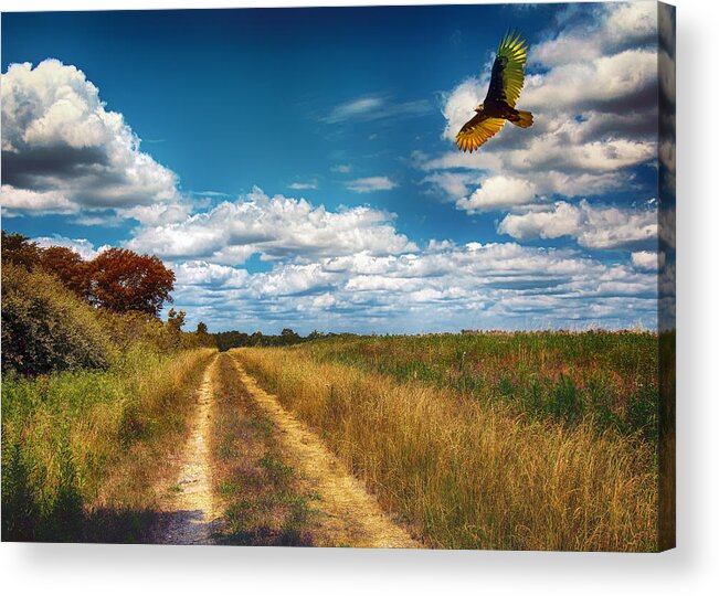 Trail Acrylic Print featuring the photograph Along the Hiking Trail by Bill and Linda Tiepelman