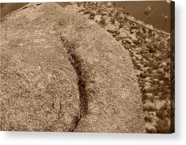 Sepia Acrylic Print featuring the photograph ASS CRACK NEW MEXICO in SEPIA by Rob Hans