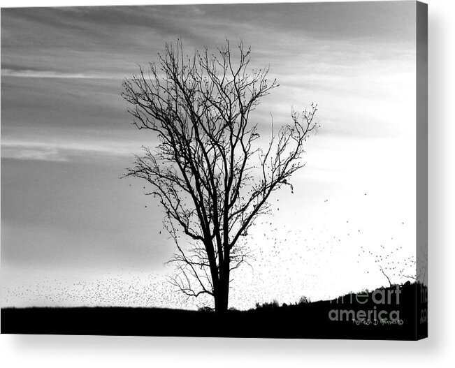 Birds Acrylic Print featuring the digital art At End of Day I by Rhonda Strickland