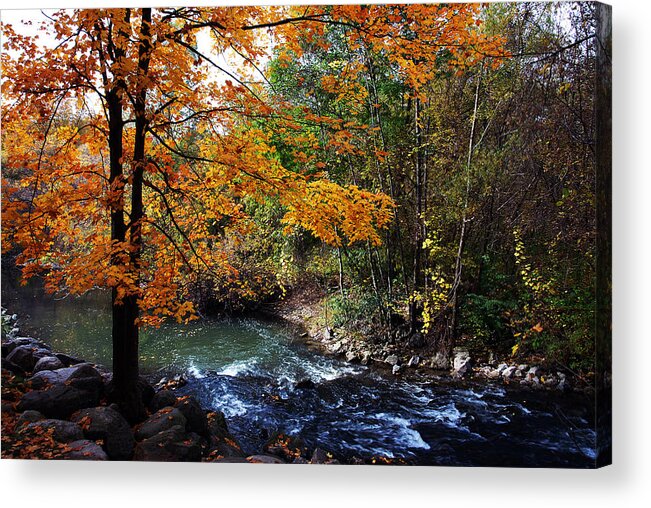 Autumn Acrylic Print featuring the photograph Autumn 2 by Dragan Kudjerski