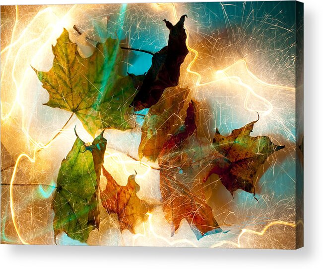 Autumn Acrylic Print featuring the photograph Autumn Spectacular by Barbara White