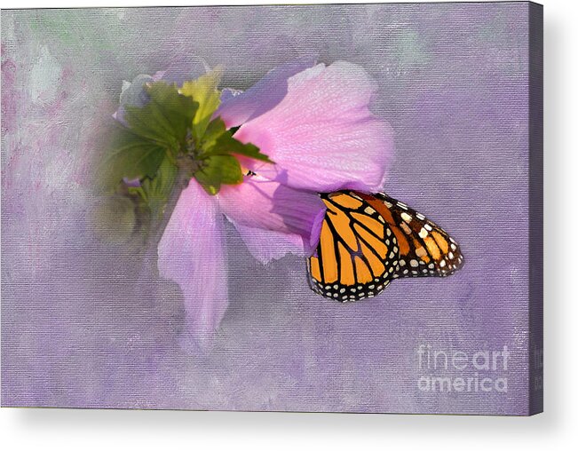 Monarch Butterfly Acrylic Print featuring the photograph Beautiful in Pink by Betty LaRue