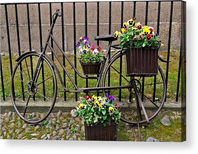 Massachusetts Acrylic Print featuring the photograph Bicycle in Salem by Caroline Stella