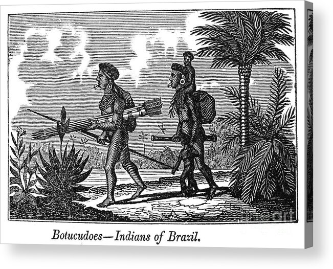 1840s Acrylic Print featuring the photograph Brazil: Indians by Granger