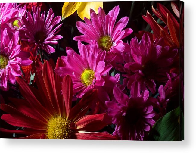 Bouquets Acrylic Print featuring the photograph Cacophony of Color by Joe Kozlowski