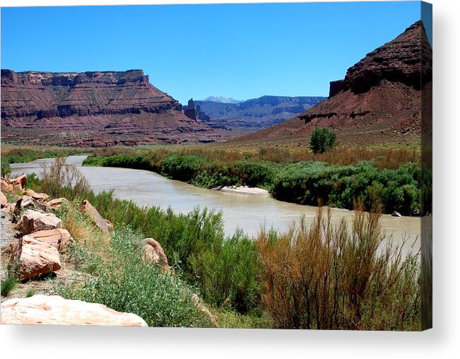 Colorado River Acrylic Print featuring the photograph Colorado River by Dany Lison
