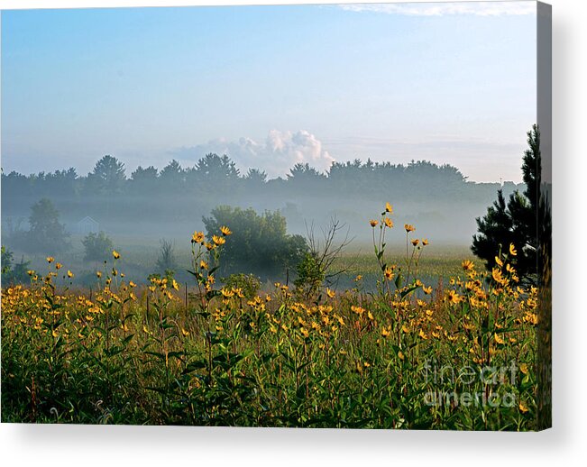 Color Photography Acrylic Print featuring the photograph Daisies In The Fog by Sue Stefanowicz