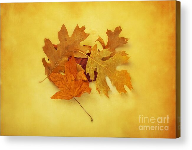 Leaves Acrylic Print featuring the photograph Dried Autumn Leaves by Susan Gary