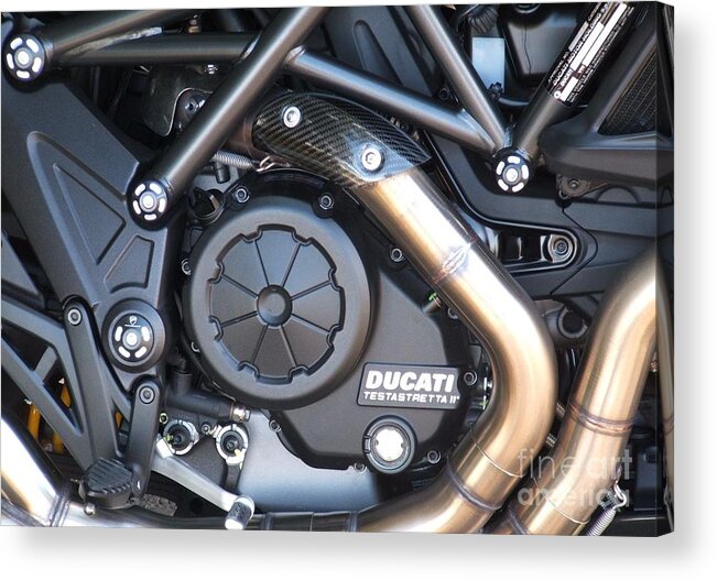 Ducati Acrylic Print featuring the photograph Ducati by Therese Alcorn