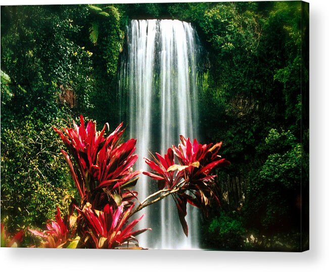 Waterfall Acrylic Print featuring the photograph Elixir of LIfe by HweeYen Ong