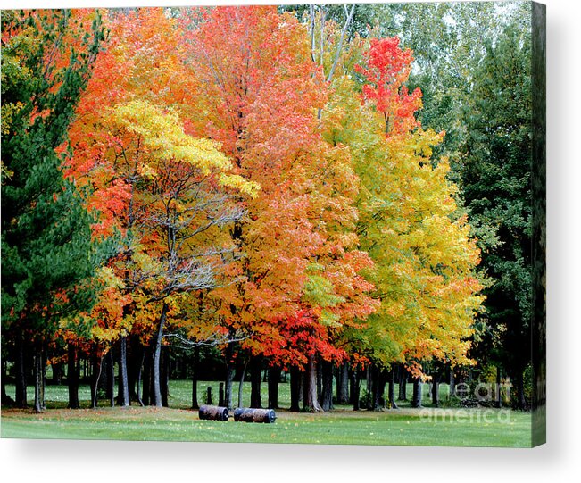 Autumn Colors Acrylic Print featuring the photograph Fall in Michigan by Optical Playground By MP Ray