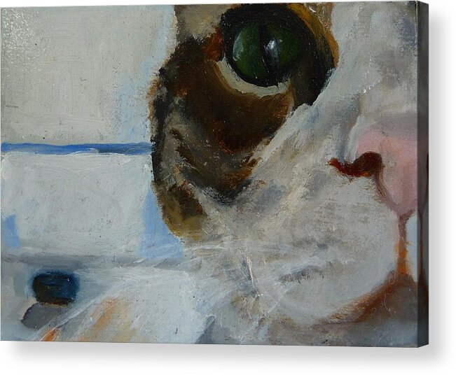 Cat Acrylic Print featuring the painting Feed Me Now by Jessmyne Stephenson