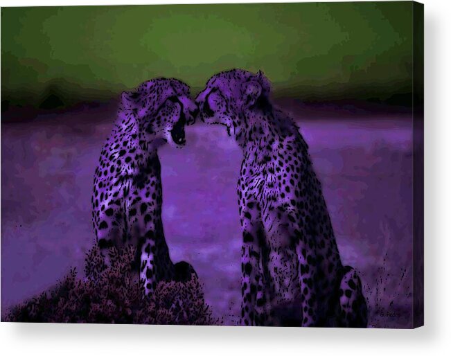 Cheetahs Acrylic Print featuring the photograph Feelings by George Pedro