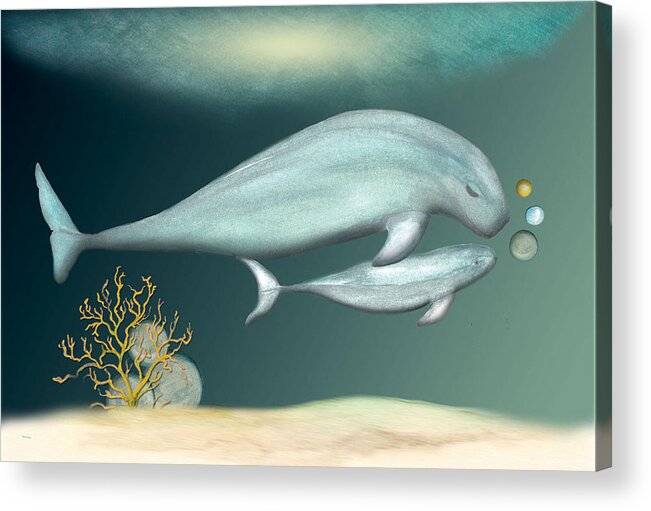 Porpoise Acrylic Print featuring the painting First Swim by Anne Beverley-Stamps