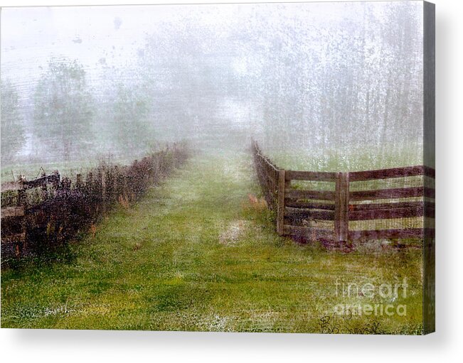 Fence Acrylic Print featuring the photograph Foggy Fence by Bob Senesac