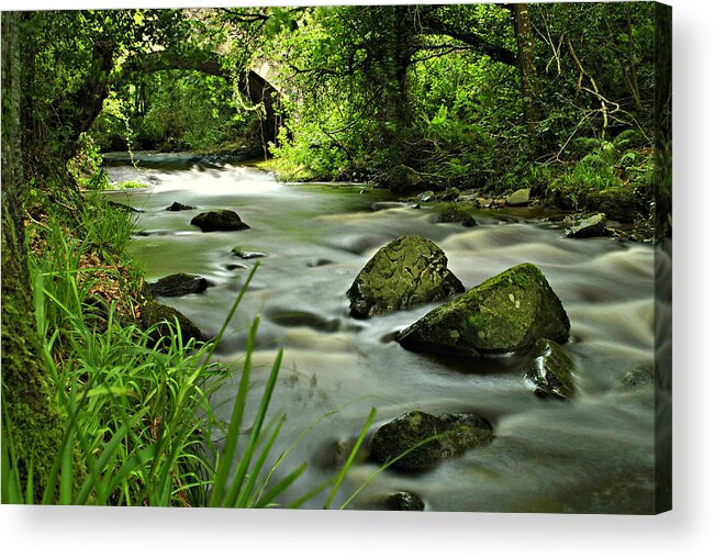 Water Acrylic Print featuring the photograph Free Flow by Joe Ormonde