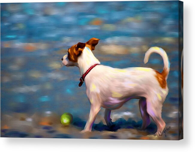 Jack Russell Terrier Acrylic Print featuring the painting Jack at the Beach by Michelle Wrighton