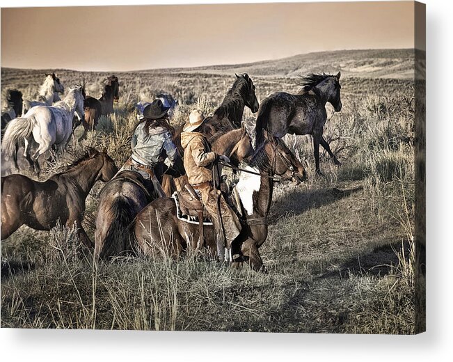 Horse Acrylic Print featuring the photograph Just another Monday Morning by Pamela Steege