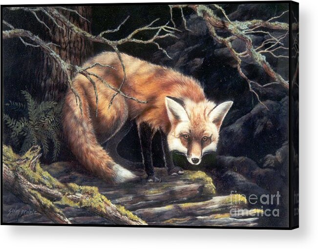 Watercolor Acrylic Print featuring the painting Looking for Lunch  SOLD by Sandy Brindle