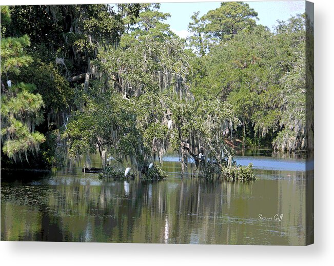 Digital Art Acrylic Print featuring the photograph Lowcountry Landscape II by Suzanne Gaff
