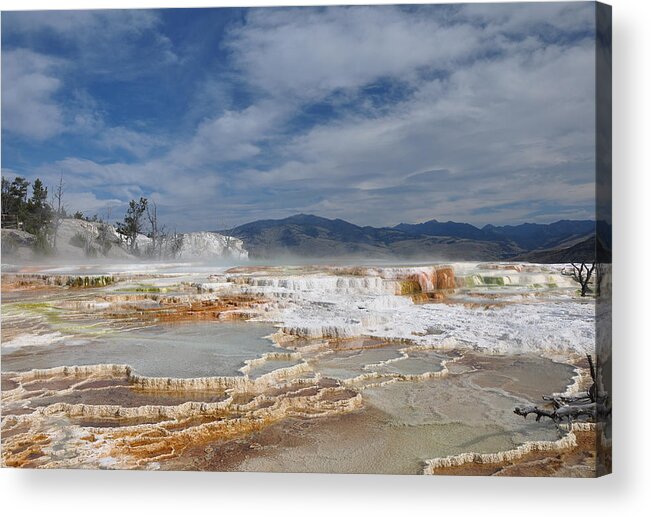 Landscape Acrylic Print featuring the photograph Mammoth Hot Springs by Victoria Porter