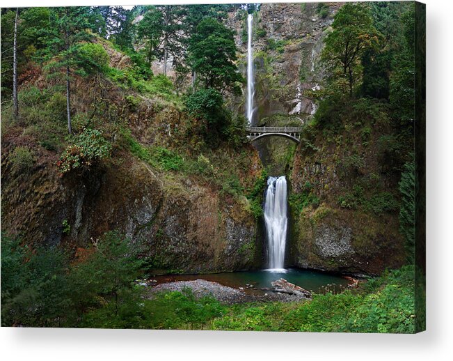 Multnomah Falls Acrylic Print featuring the photograph Multnomah Falls by Richard Ferguson